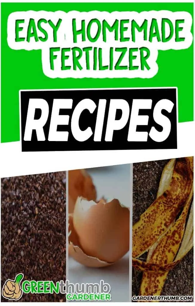 Homemade Fertilizer