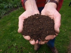 Homemade Fertilizer for your Garden