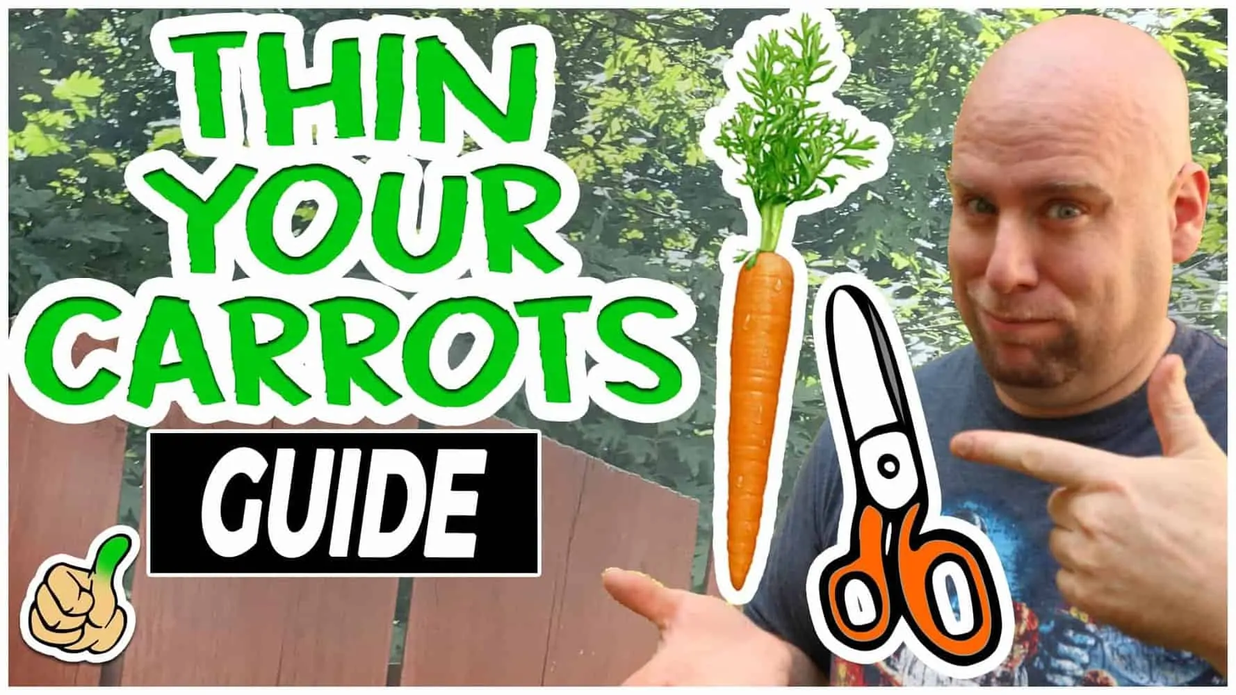 how to thin your carrots