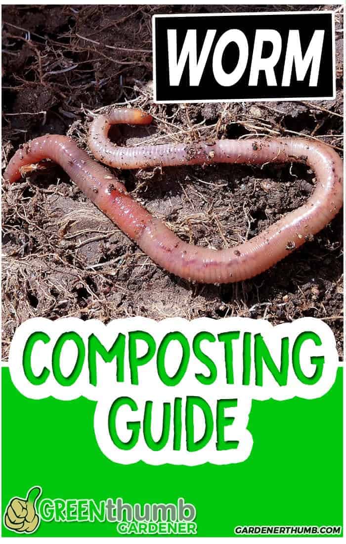 Vermiculture Composting with Worms Guide Green Thumb Gardener