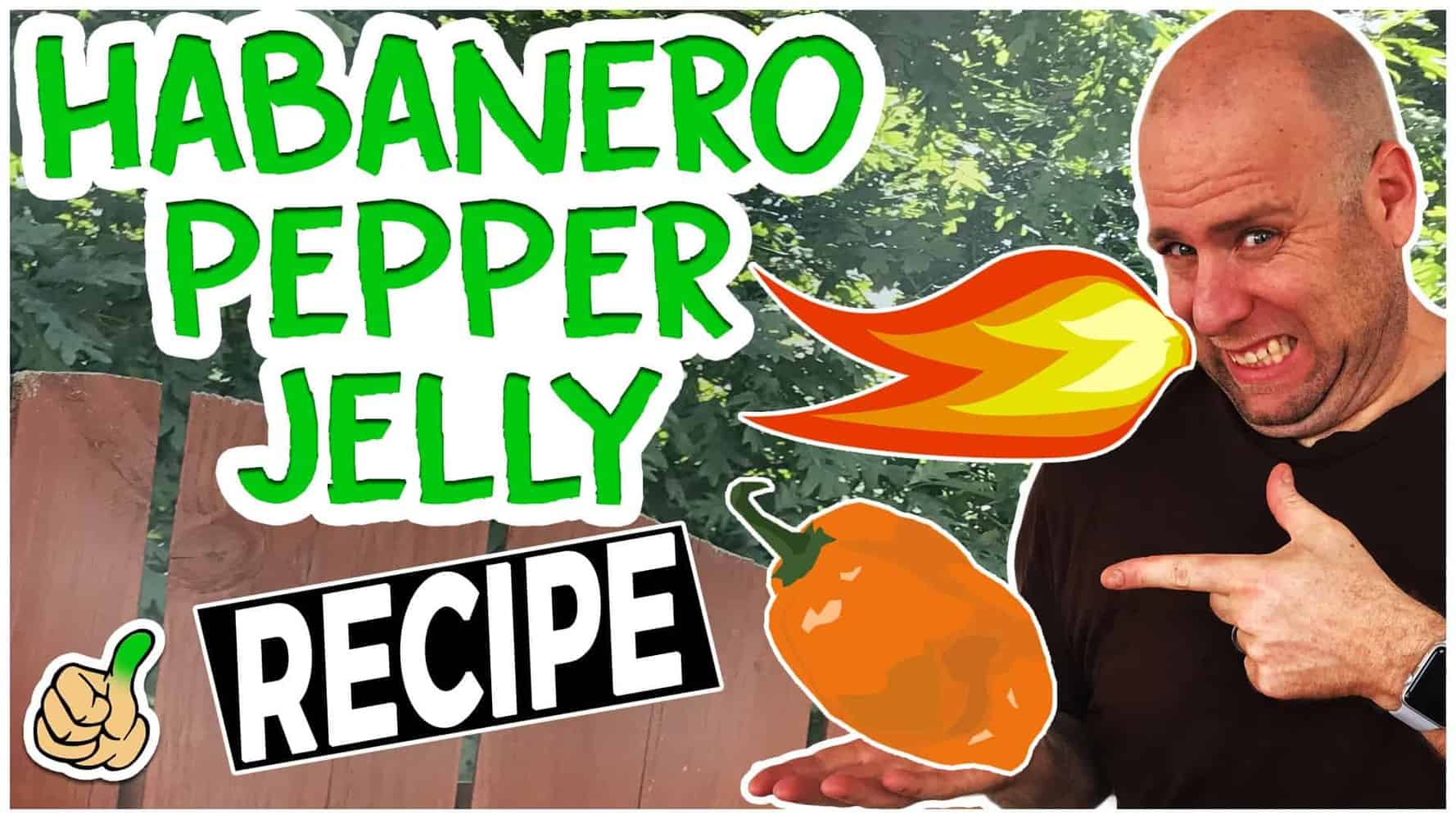 how to make habanero pepper jelly recipe