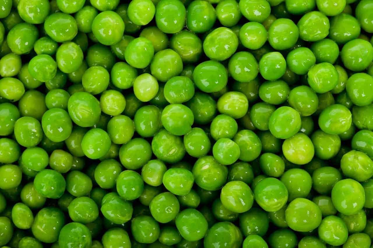 gorwing peas