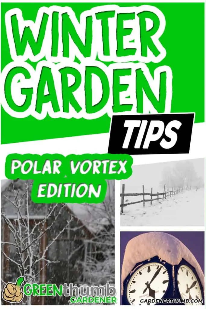 winter gardening tips