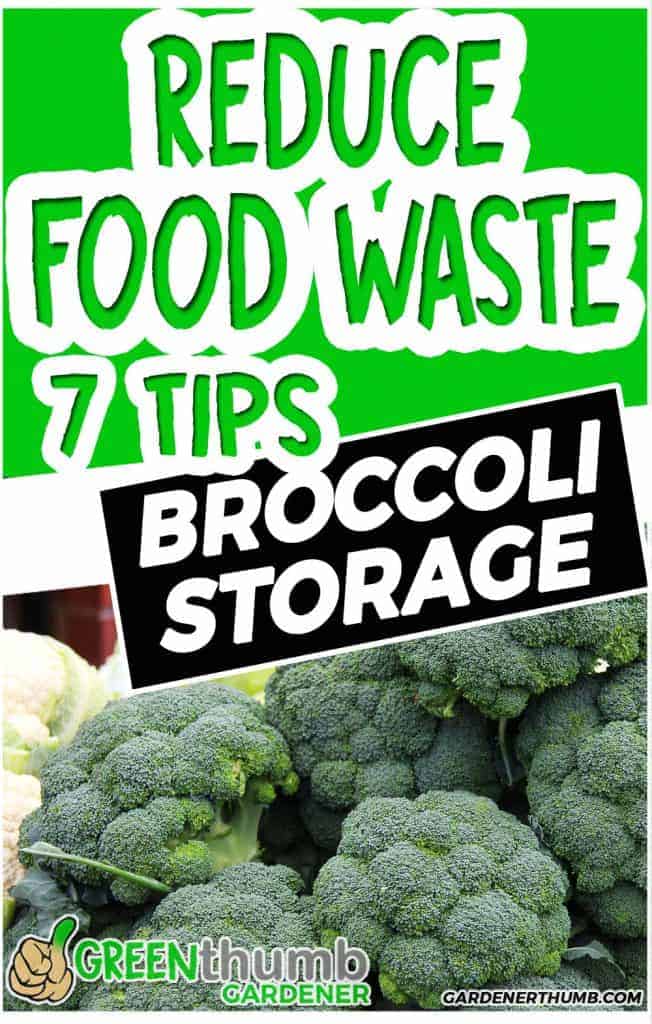 HOW LONG DOES BROCCOLI LASTs