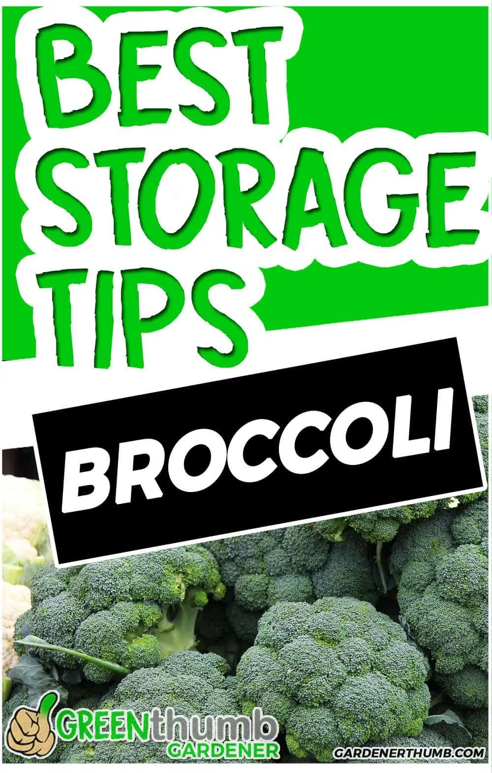 broccoli håller tips