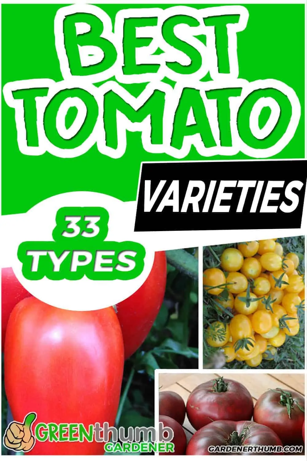 33 tomato varieities