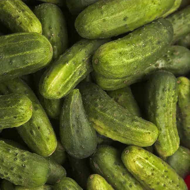 national pickling cucumber
