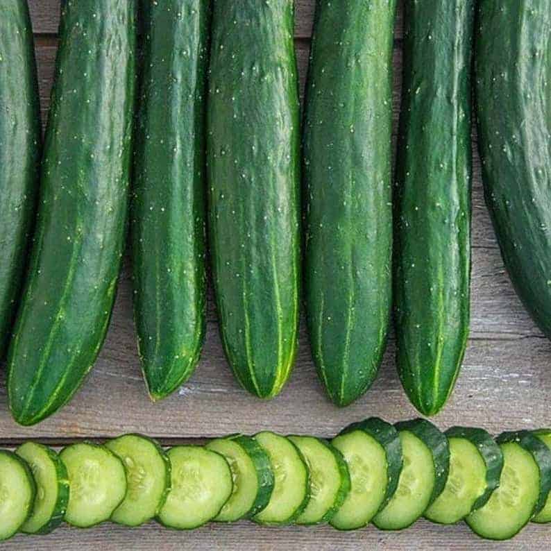 sweet success cucumber