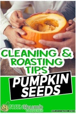 How to Separate Pumpkin Seeds from Strings