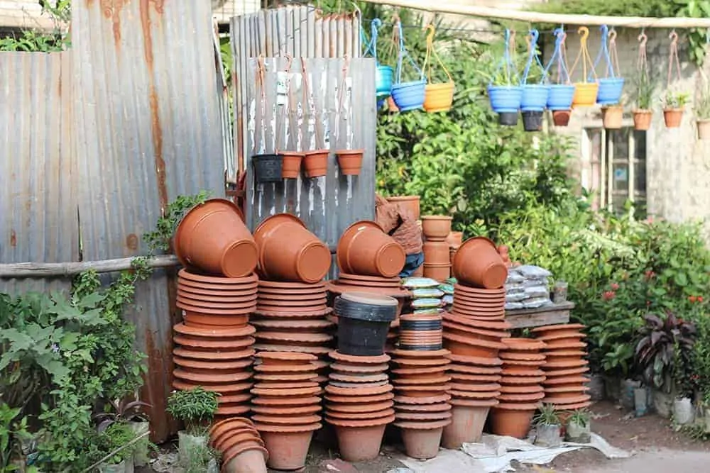 container vegetable garden