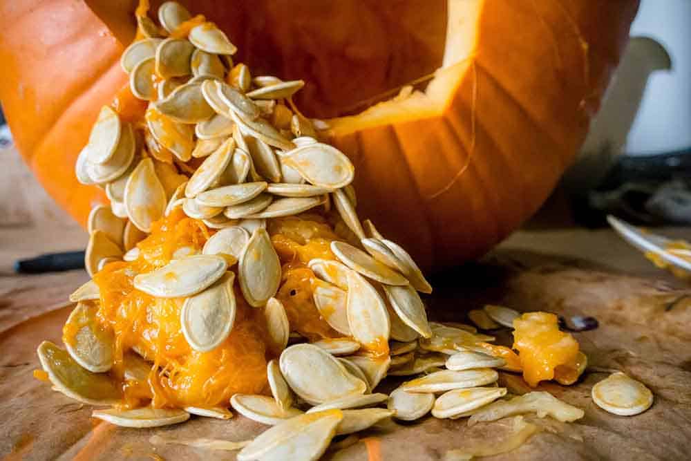 How to Separate Pumpkin Seeds from Strings Green Thumb Gardener