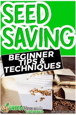 seed saving