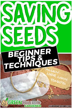 seed saving