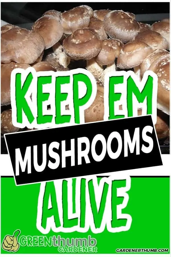 how long do mushrooms last