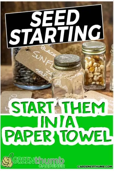 how to start from a paper towel