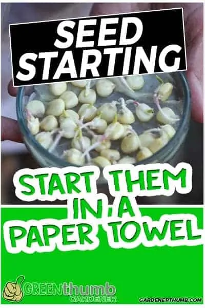 how to start from a paper towel