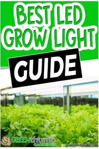Best Led Grow Lights for Vegetables