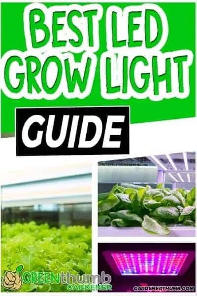 Best Led Grow Lights for Vegetables