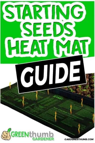 Best seedling heat mats for plants