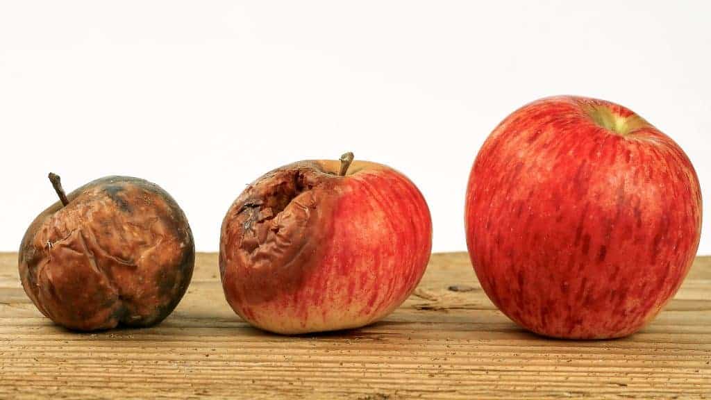 How Long Do Apples Last Epic Storage Guide Green Thumb Gardener