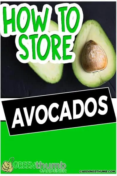 how long do avocados last