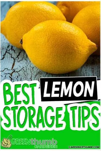 how long do lemons last