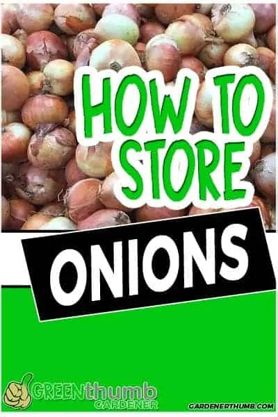 how long do onions last 01