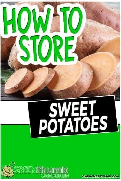 how long do sweet potatoes last