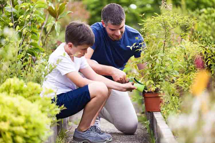 17 Best Gardening Gifts for Dad Green Thumb Gardener