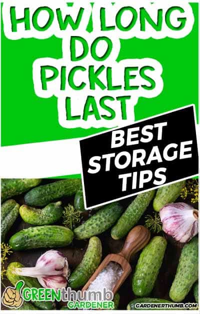 how long do pickles last