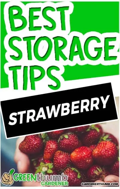 how long do strawberries last