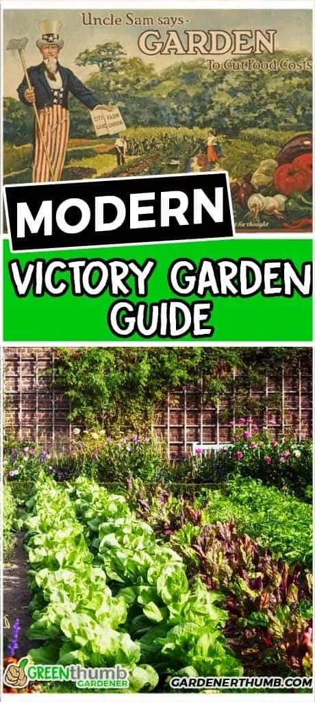 how to build a victory garden