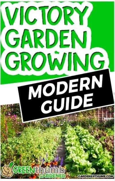 how to build a victory garden