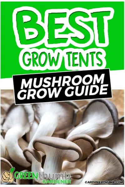 Best Grow Tents for Mushrooms