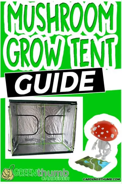 Best Grow Tents for Mushrooms