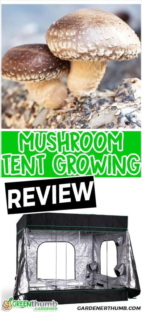 Best Grow Tents for Mushrooms