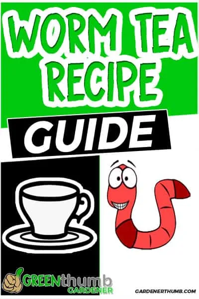 how to make worm tea