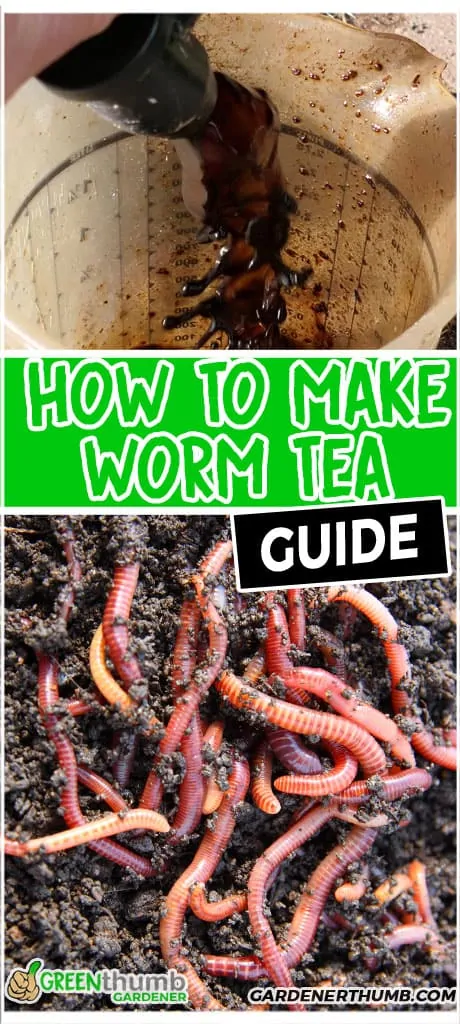 how to make worm tea