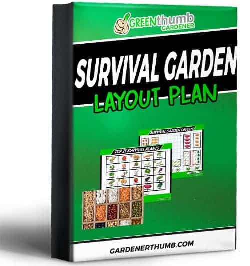 Survival Garden Layout A Must Read Epic Guide Green Thumb Gardener
