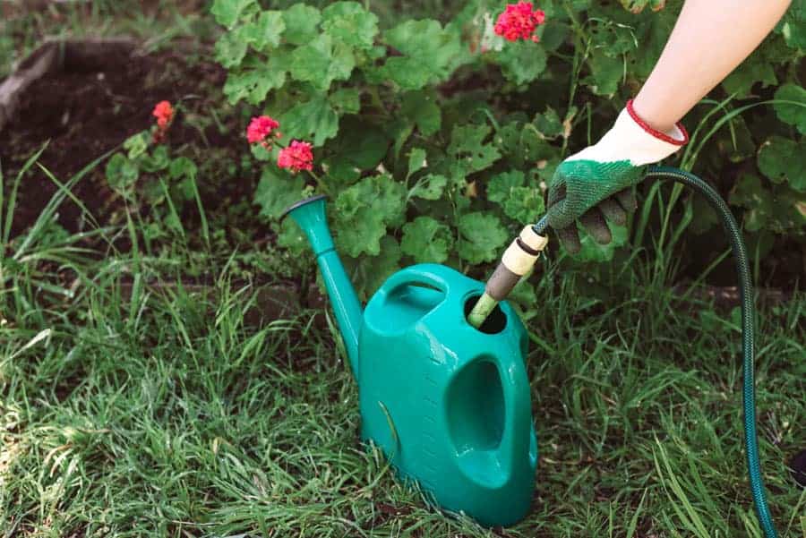 12 Best Garden Hose Filter Make Your Water Safer Green Thumb Gardener