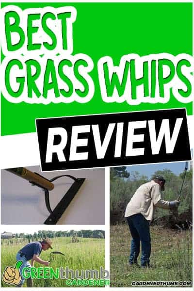 Best Grass Whip To Clear Weeds Fast 2022 Edition Green Thumb Gardener 2916