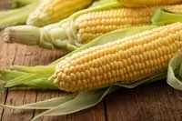 corn