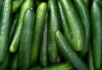 cucumber