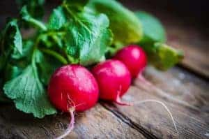 growing radishes in containers