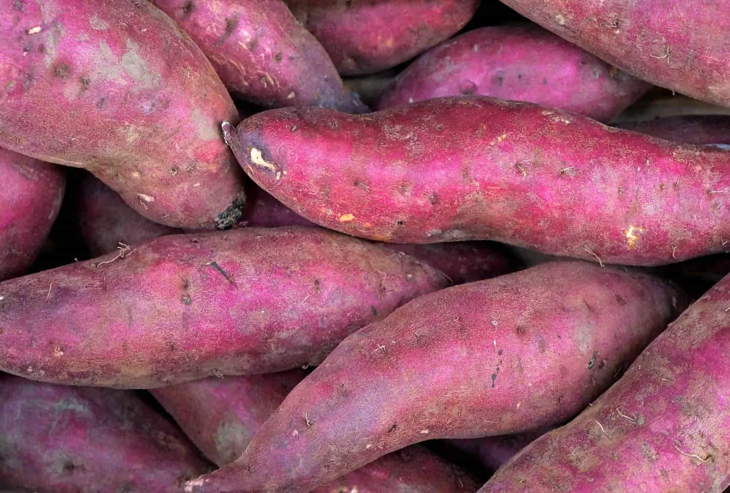 sweet potato