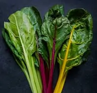 swiss chard