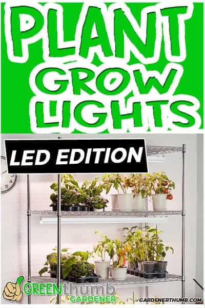 Using LED Grow Lights For Indoor Plants | Green Thumb Gardener