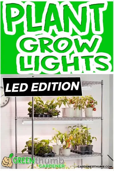 LED Grow Lights for Indoor Plants