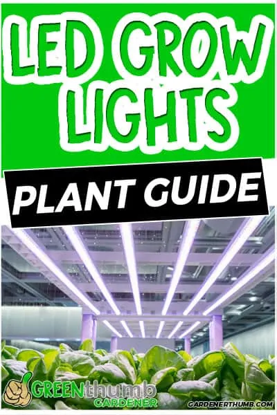 LED Grow Lights for Indoor Plants