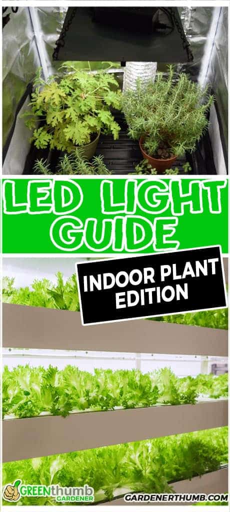 LED Grow Lights for Indoor Plants